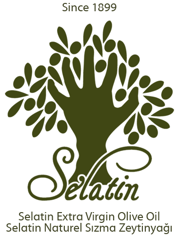 Selatin Logo